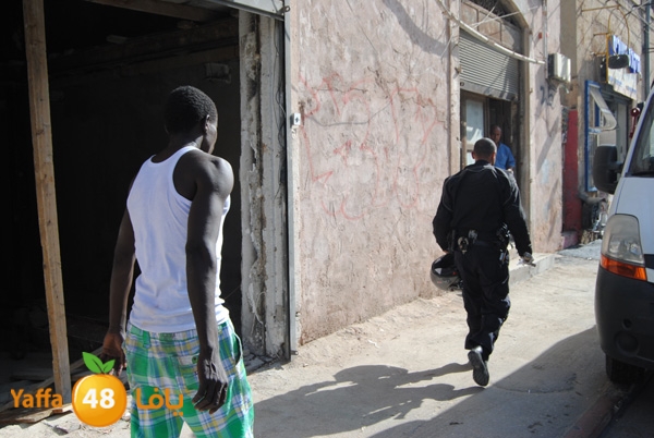 shejar sodaney 702 (2).JPG